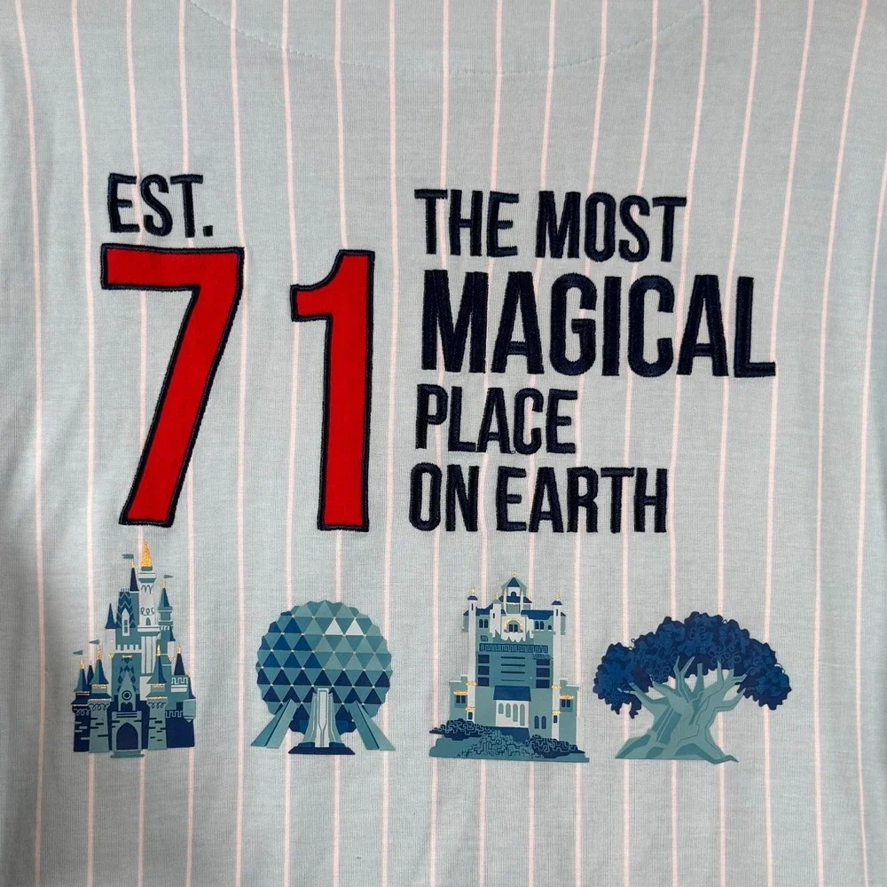 Walt Disney World Baseball Jersey Mens Large Pinstripe Shirt Mint Blue Snap